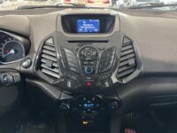 Ford EcoSport 14