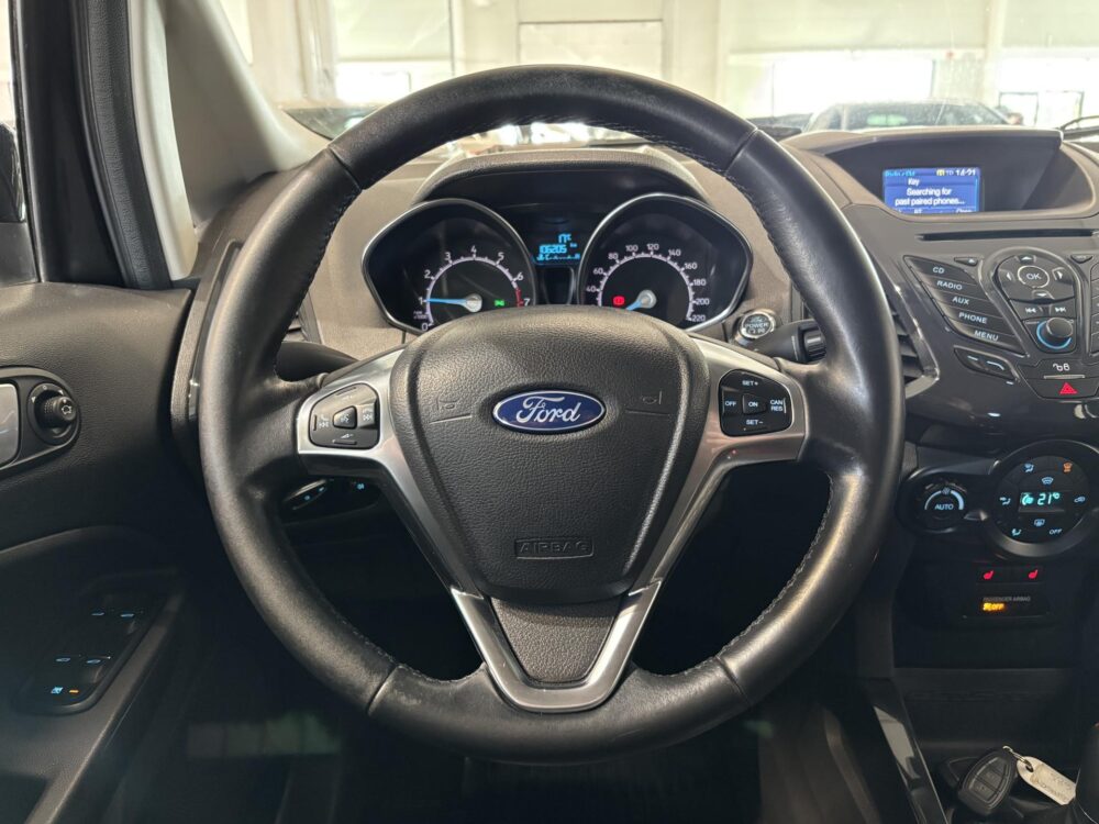 Ford EcoSport 13