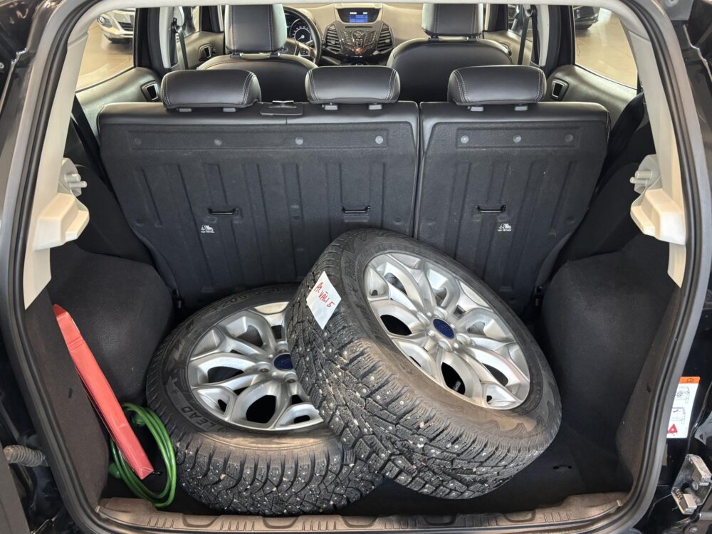 Ford EcoSport 8