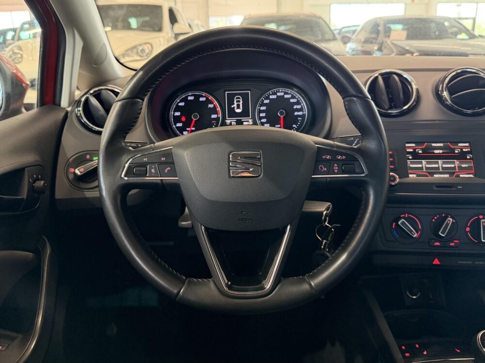 Seat Ibiza 15