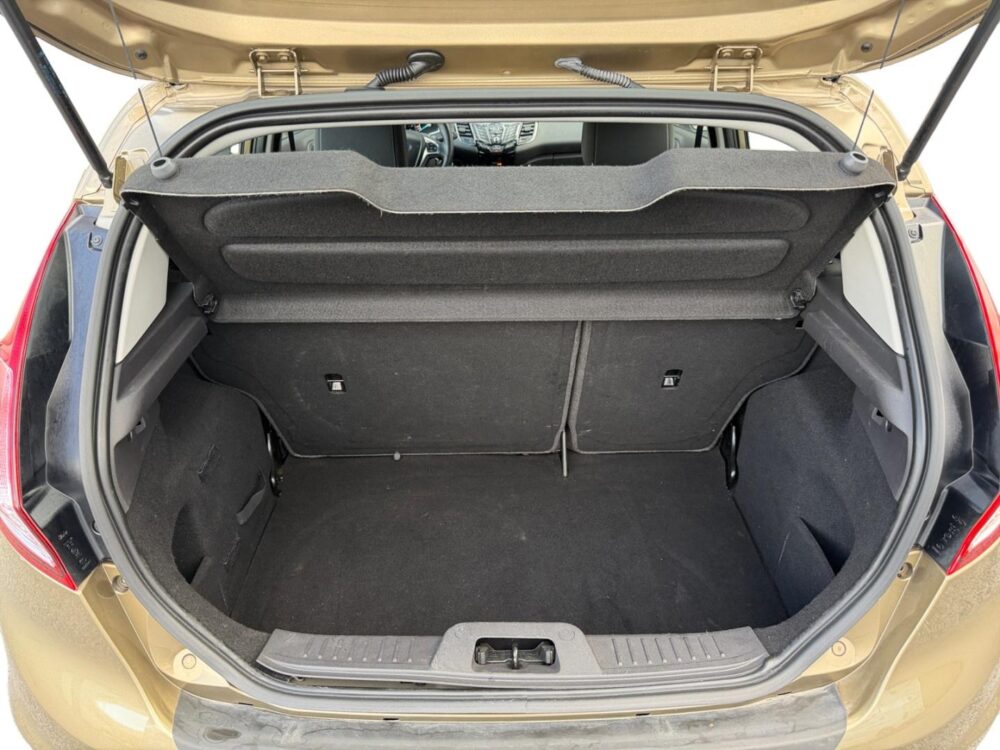 Ford Fiesta 16